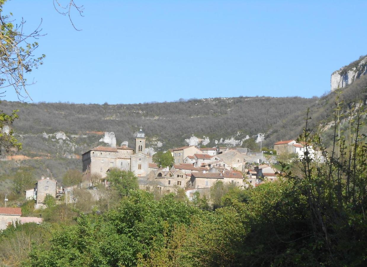 Maison Spacieuse Et Agreable Saint-Georges-de-Luzencon Exterior photo